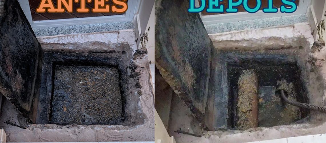 Fonte de reprodução: Pixabay