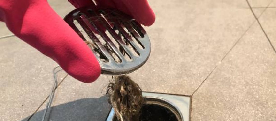 Fonte de reprodução: Pixabay