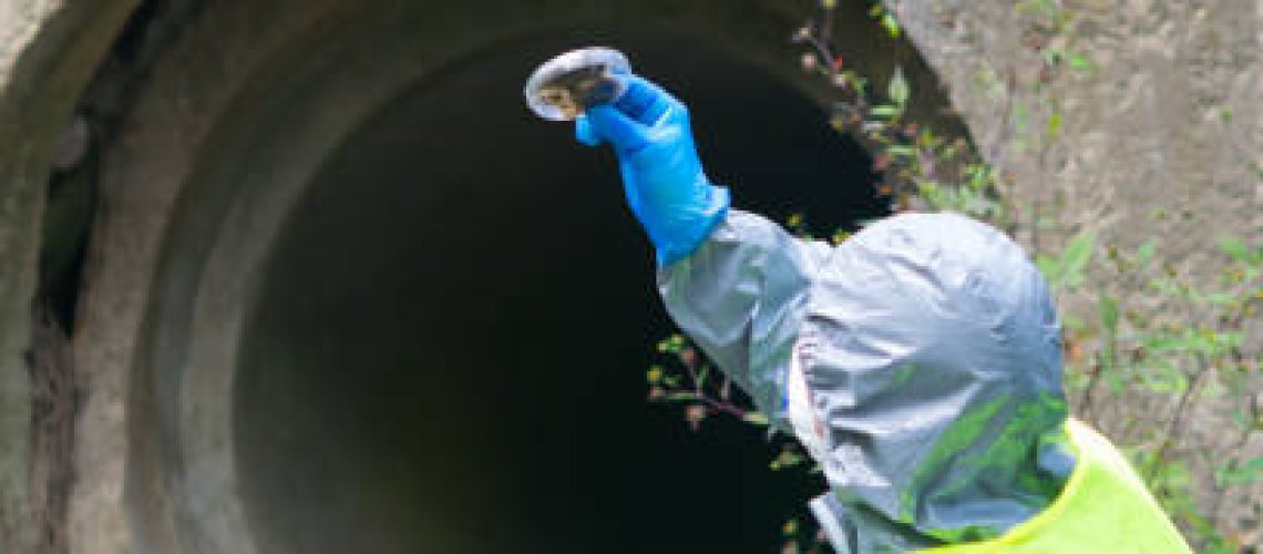 Fonte de reprodução: Pixabay