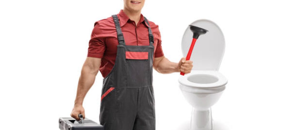 Fonte de reprodução: Pixabay